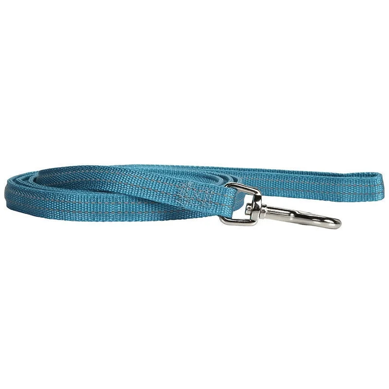 - Precautions for using pet toysPetmate Padded Reflective Lead Teal 5/8 X 6ft