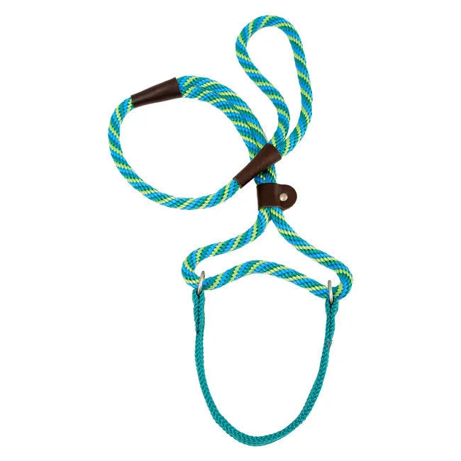 - Recommended affordable pet toysSeafoam Mendota Big Dog Walker Martingale Lead 1/2 x 6ft