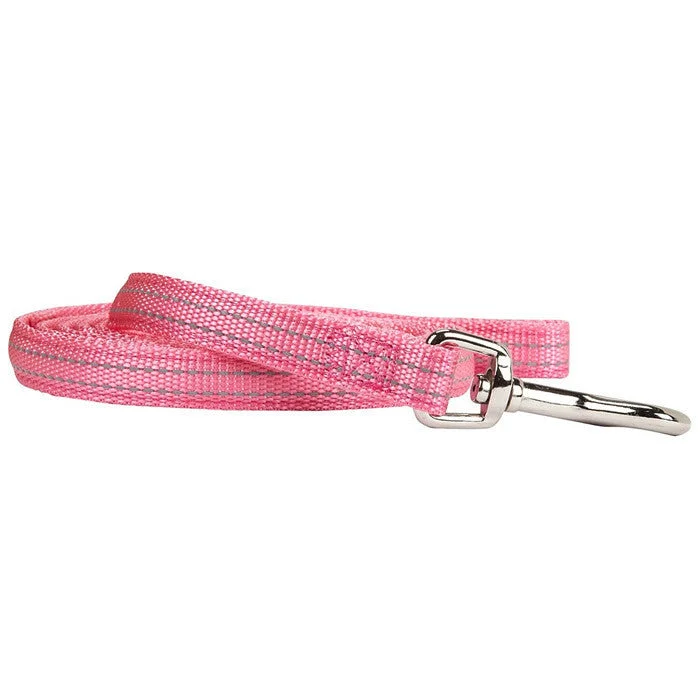 - Pet toy safety reviewsPetmate Padded Reflective Lead Pink 5/8 X 6ft