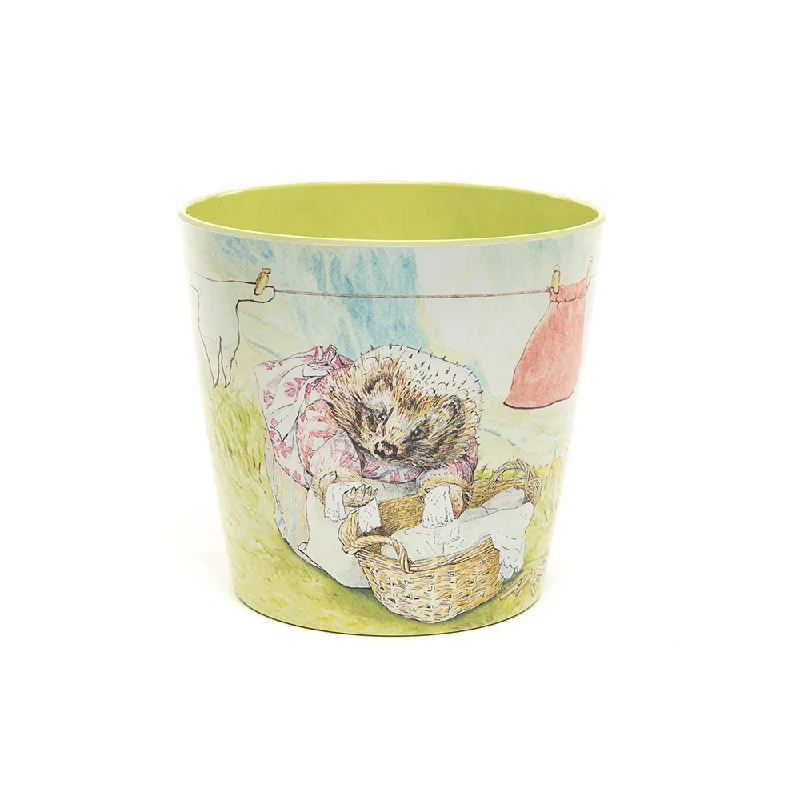 - Custom pet birthday cakeBeatrix Potter Eco Pot Mrs Tiggy Winkle