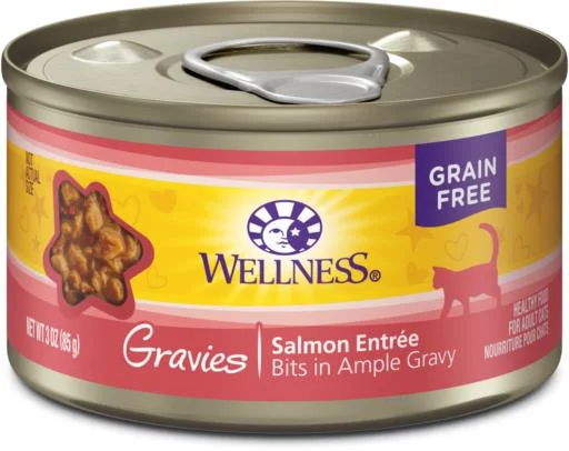    - Cat food for digestive health  Wellness Complete Gravy Gravies Salmon Dinner Cat Food 3 oz