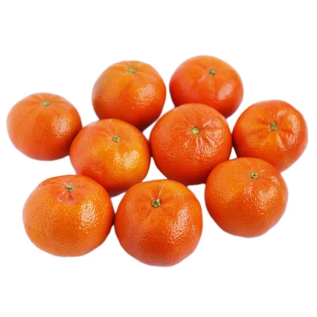 - Degradable pet feces bagWholegood Organic Clementines   600g