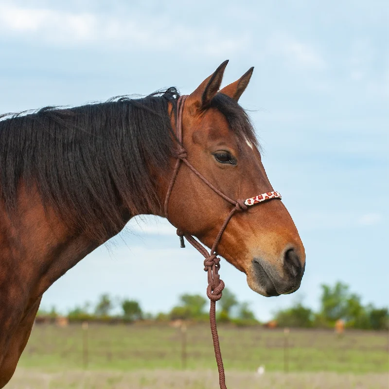 - Air box TSA certified check-inBeaded Rope Halter with Leadrope - Brown