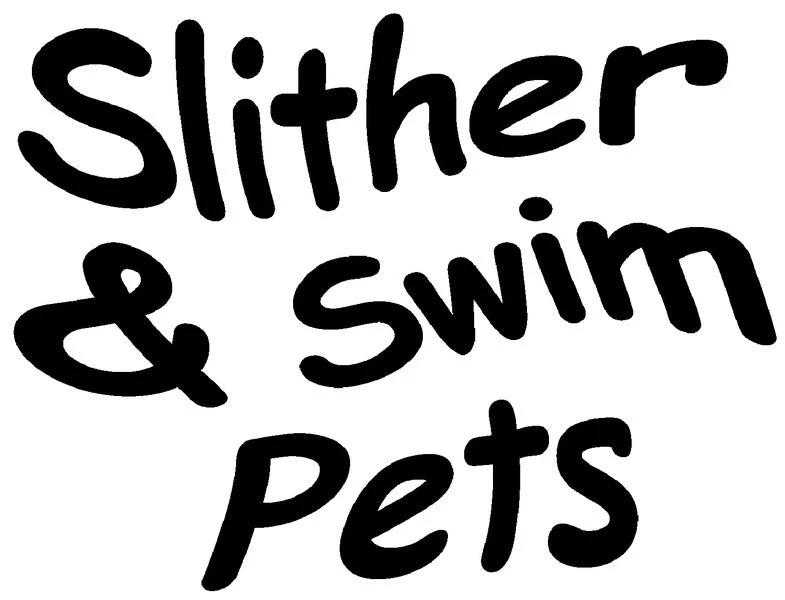 - Custom pet birthday cakeSlither & Swim Pets